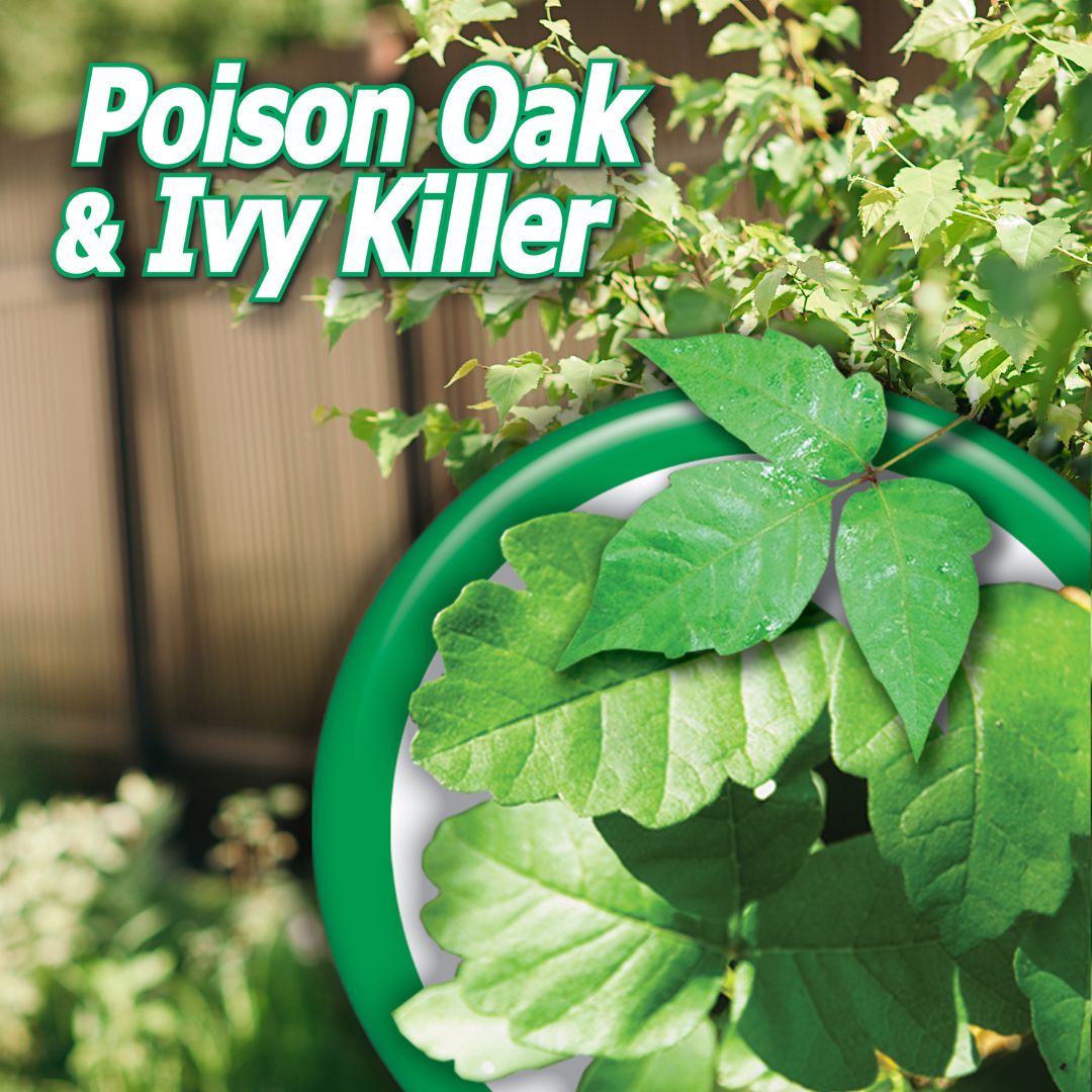 Poison Ivy & Oak Killer Spray- Bonide – 32 oz